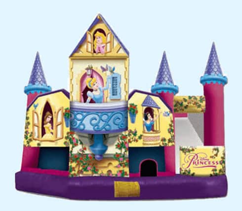 Cheap Combo Bounce House Rentals in Wesley Chapel Fl