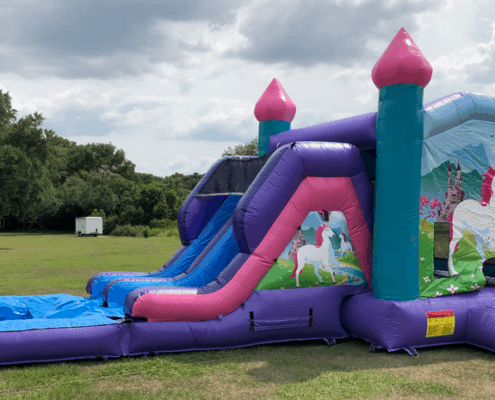 Bounce House Rentals Henderson Nv