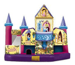 WaCombo slde and bounce house rental in New Tampa, FL